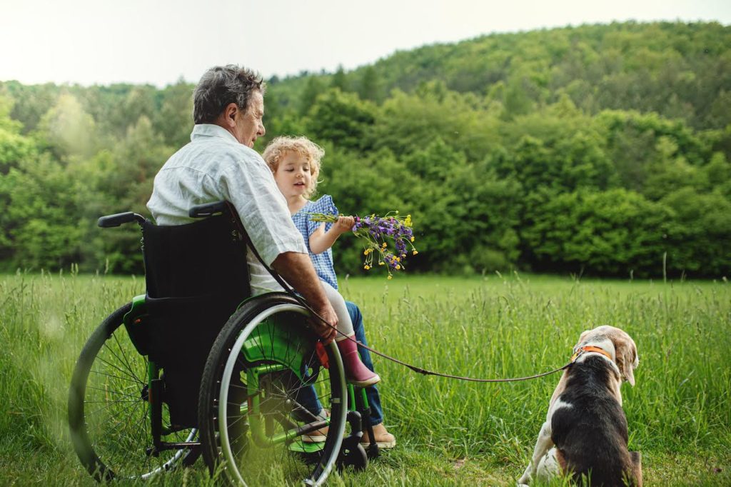 Contact Grandfather in wheelchair