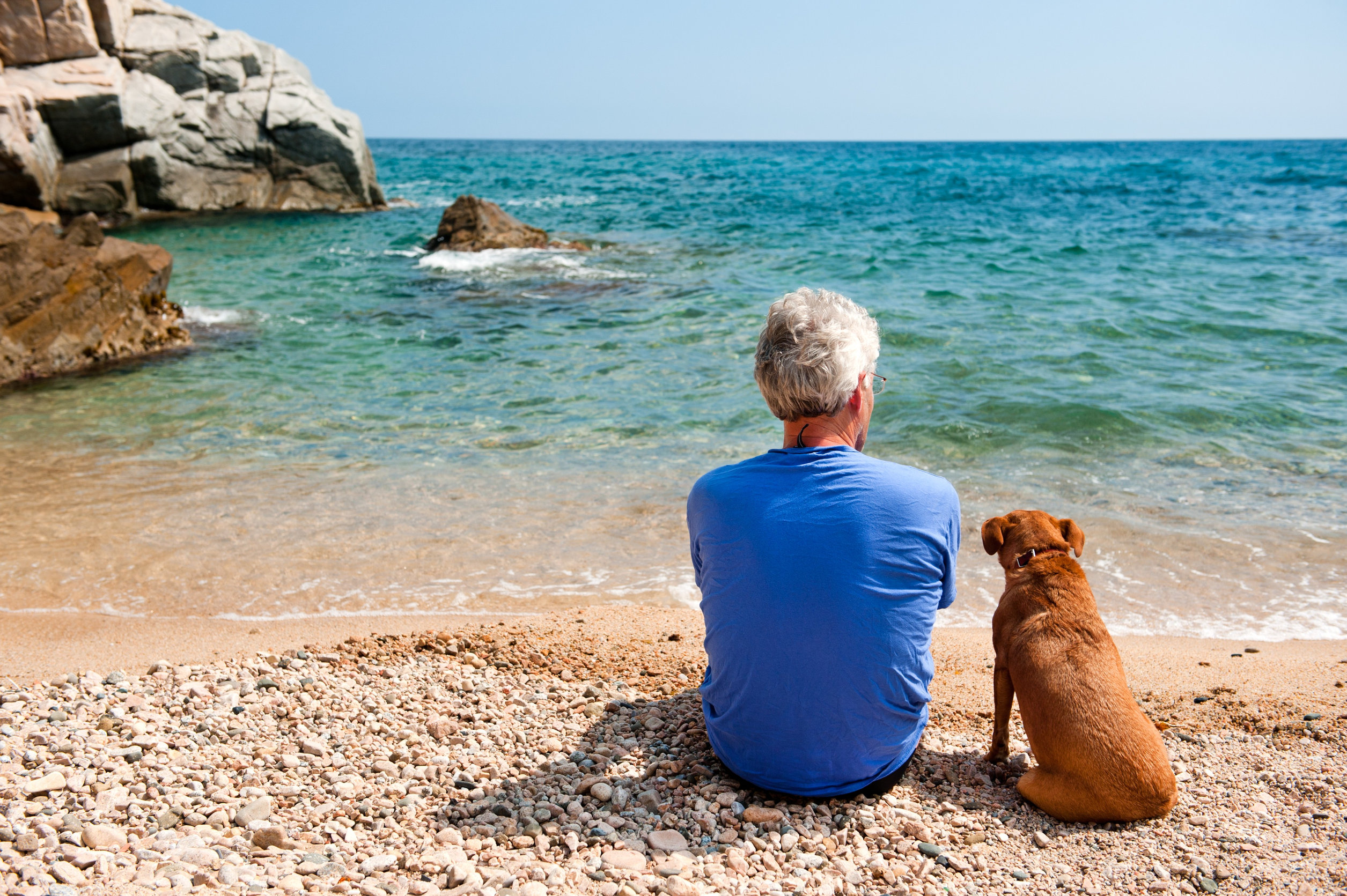 Elderly man with his dog at the summer beach Man on cliff